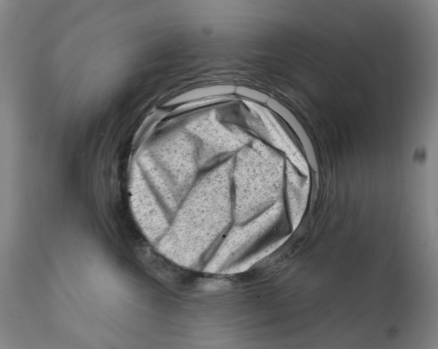 X0000111940572200908241143