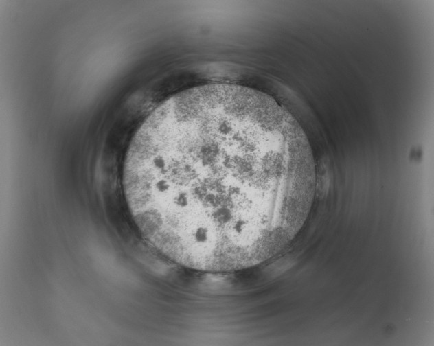 X0000111940573200908241143