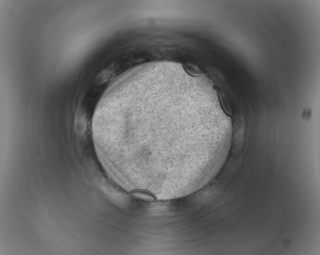 X0000111940574200908241143