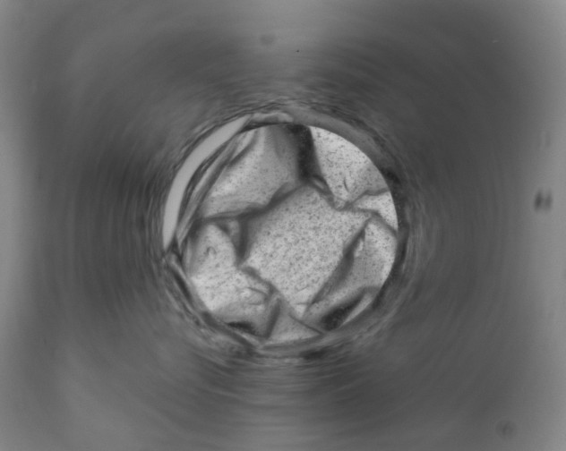 X0000111940576200908241143