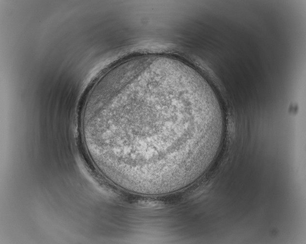 X0000111940582200908241142