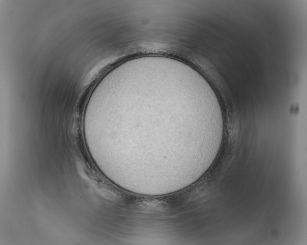 X0000111940583200908241142