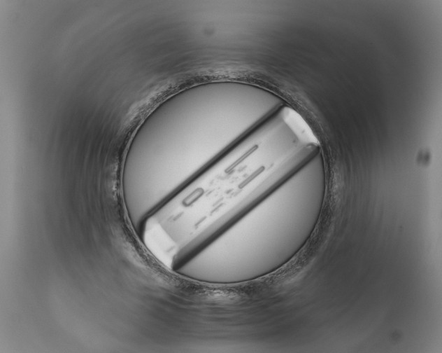 X0000111940585200908241142