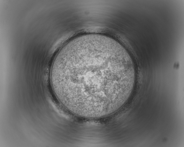 X0000111940586200908241142
