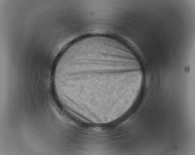 X0000111940588200908241142