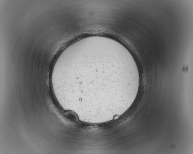 X0000111940589200908241142