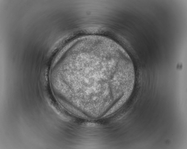 X0000111940590200908241142