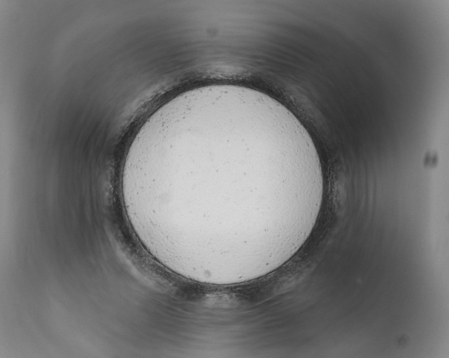 X0000111940591200908241142