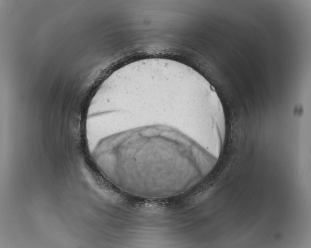 X0000111940592200908241142