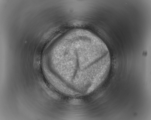 X0000111940593200908241142