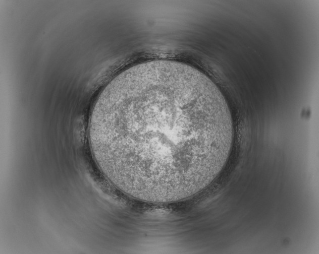 X0000111940594200908241142