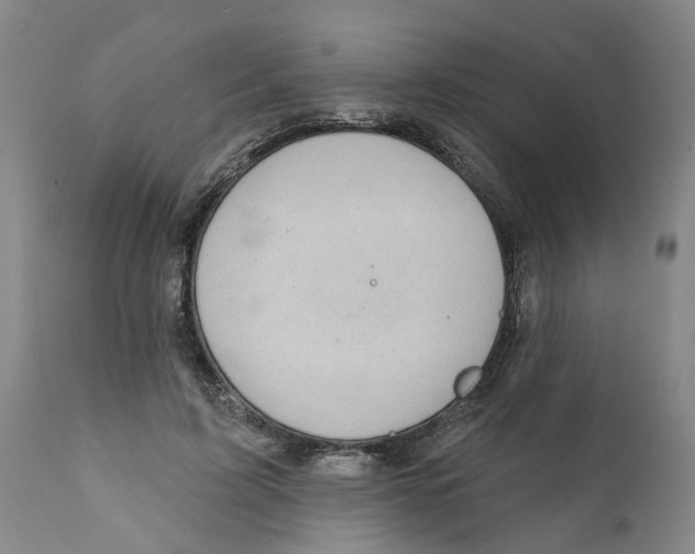 X0000111940595200908241142