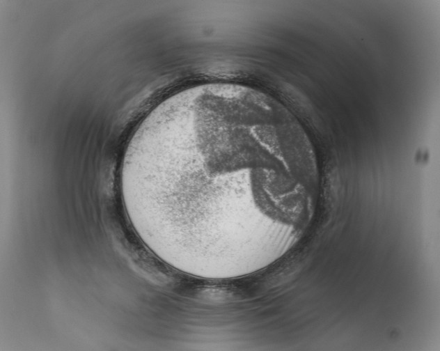 X0000111940596200908241142