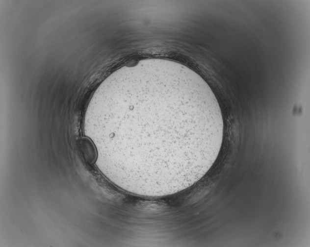 X0000111940597200908241142