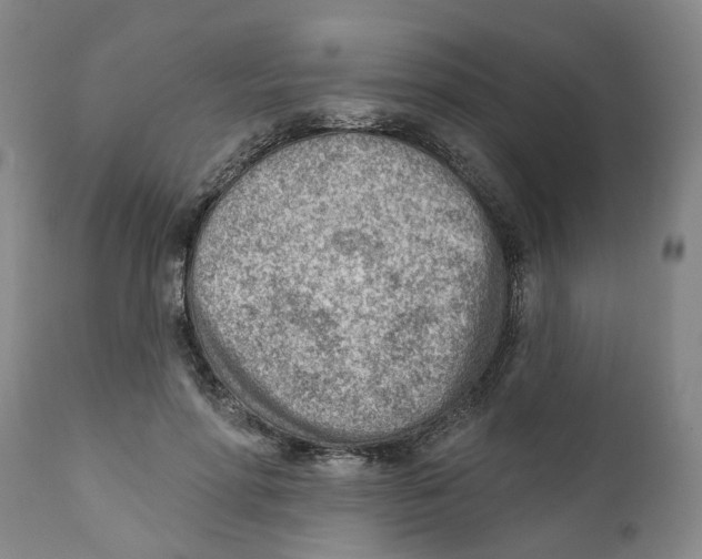 X0000111940598200908241142
