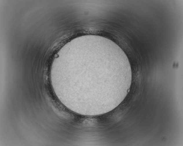 X0000111940599200908241142