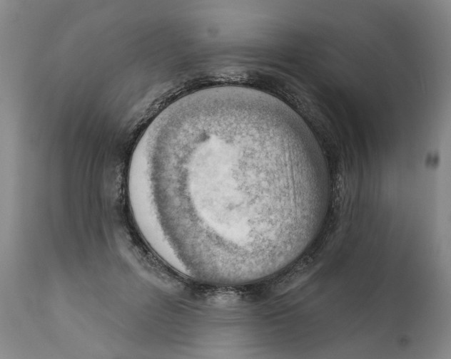 X0000111940600200908241142