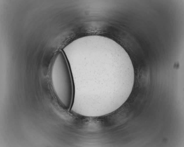 X0000111940601200908241142