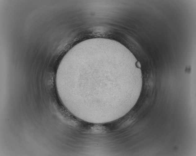 X0000111940603200908241142
