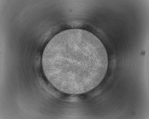 X0000111940604200908241142