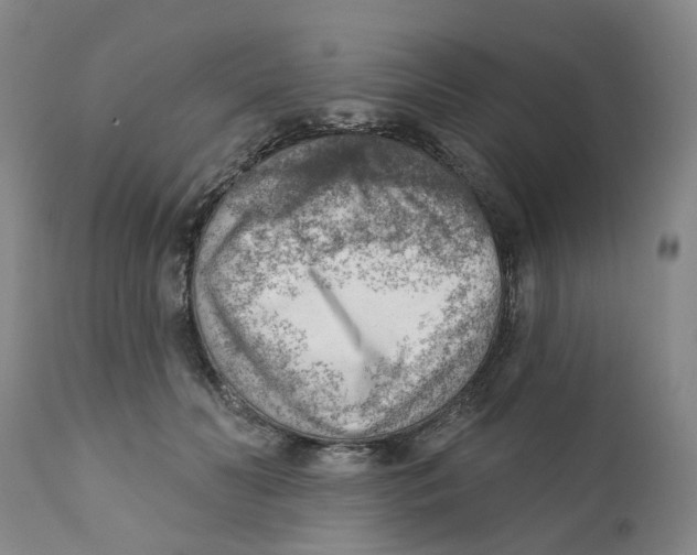 X0000111940606200908241142