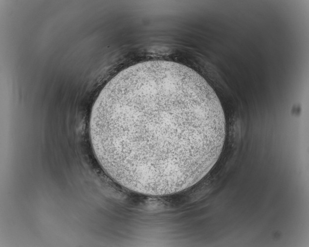 X0000111940608200908241142