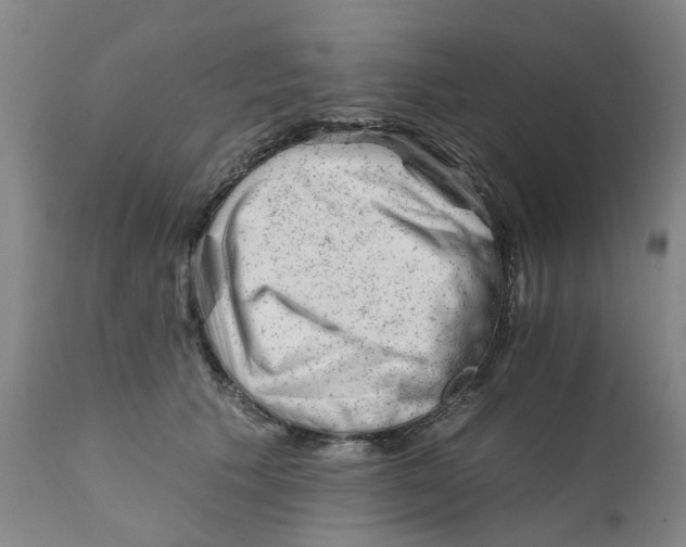 X0000111940609200908241142