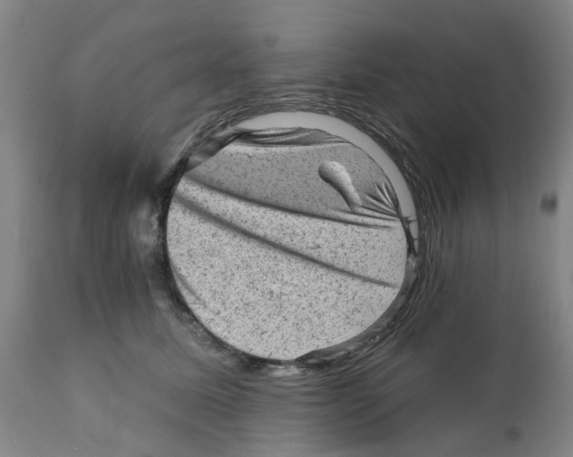 X0000111940611200908241142