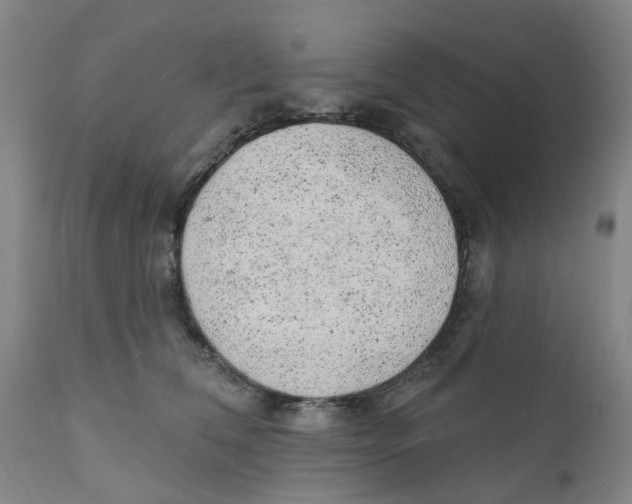 X0000111940612200908241142