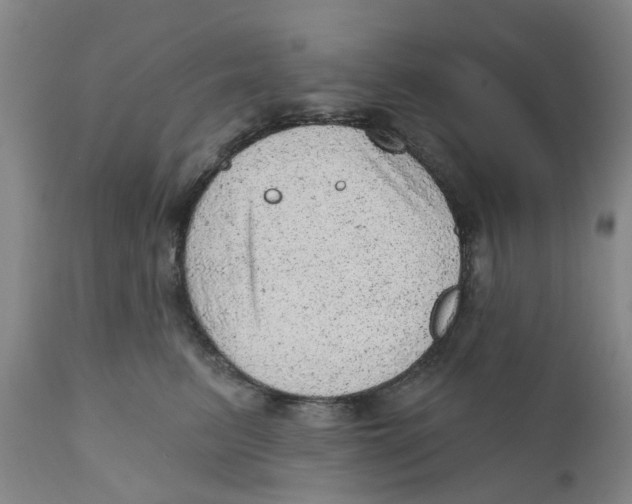X0000111940615200908241142