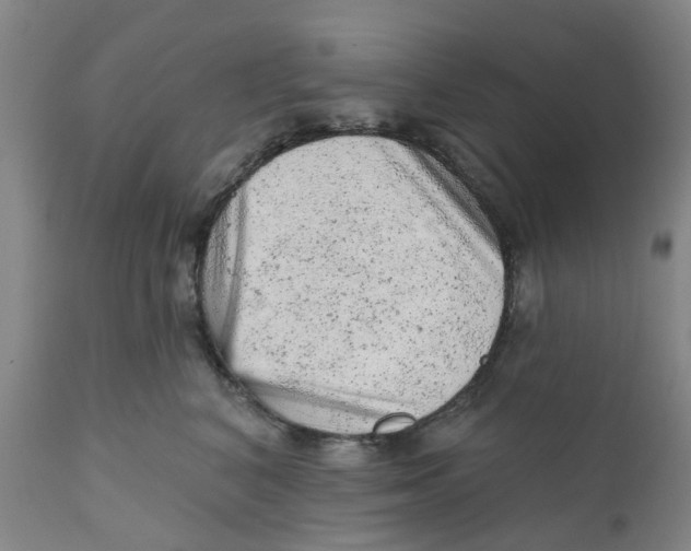 X0000111940616200908241142