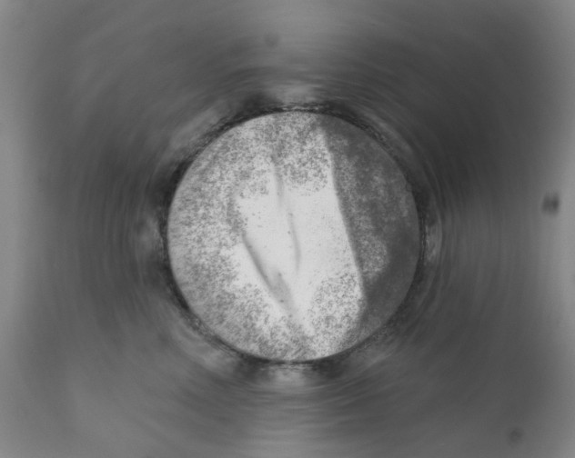 X0000111940618200908241142