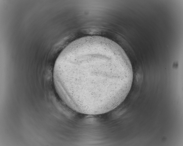 X0000111940620200908241142