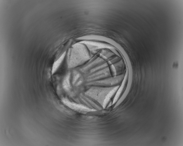 X0000111940621200908241142