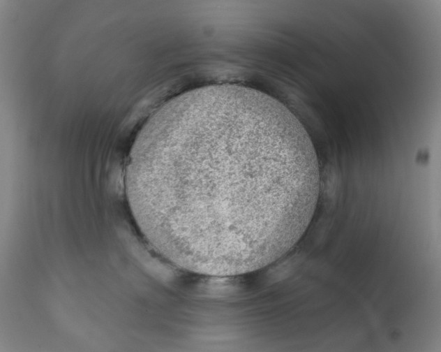 X0000111940622200908241142