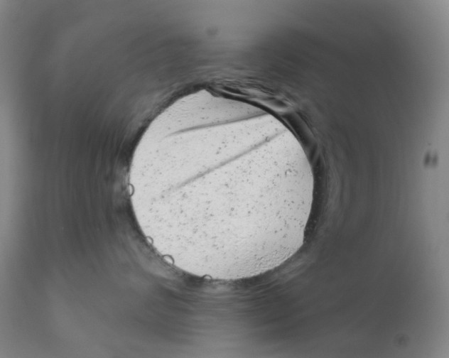 X0000111940624200908241141