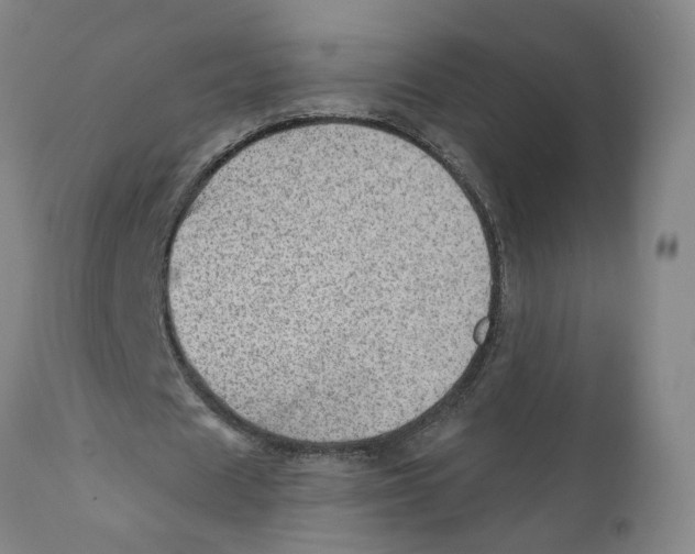 X0000111940625200908241141