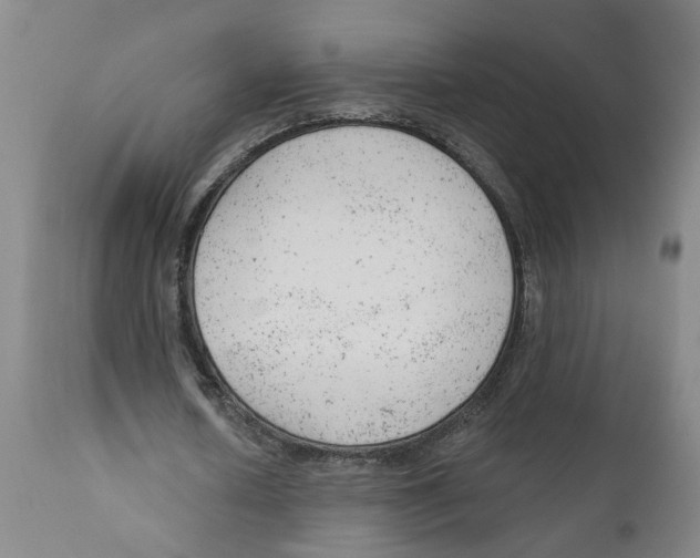 X0000111940626200908241141