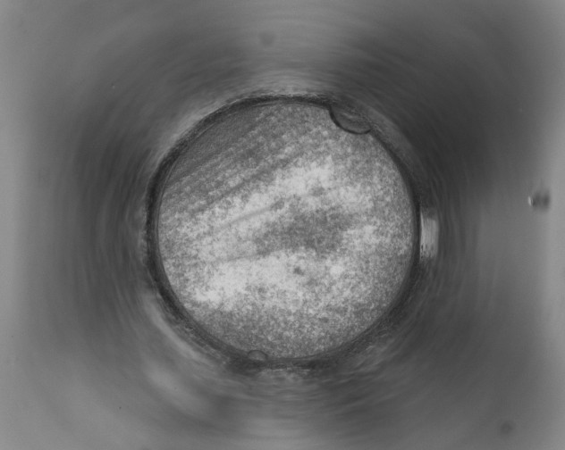 X0000111940627200908241141