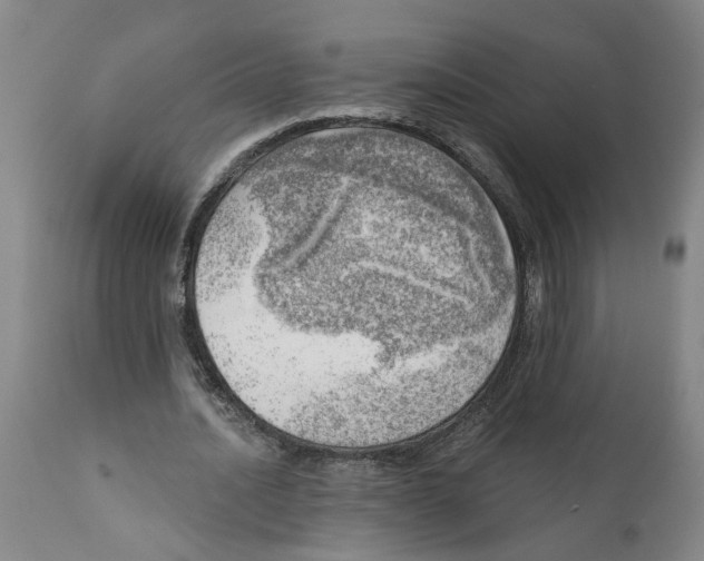 X0000111940628200908241141