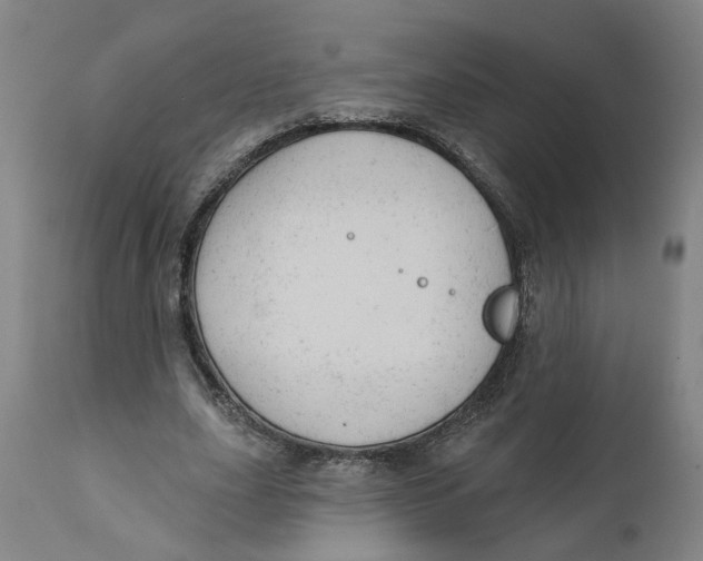 X0000111940631200908241141