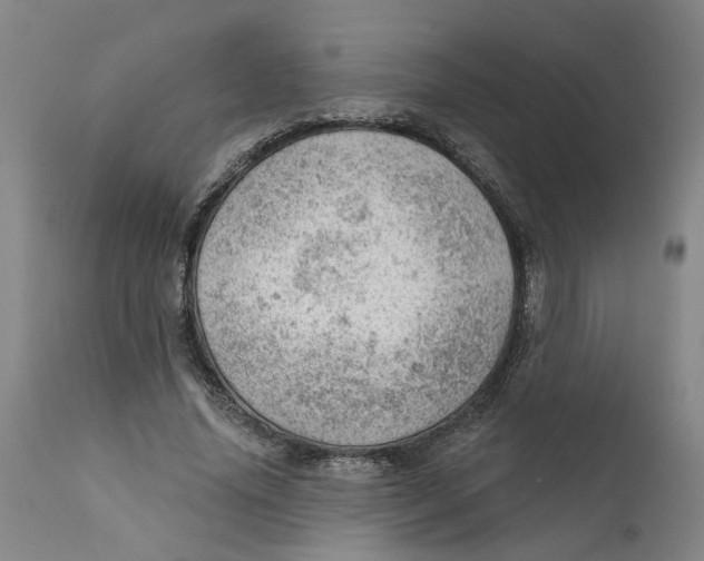 X0000111940636200908241141