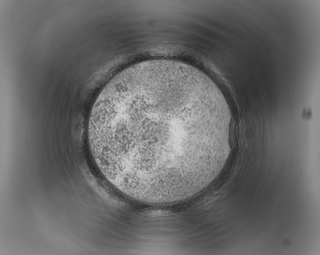 X0000111940637200908241141