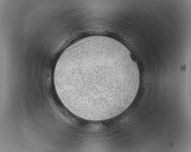 X0000111940642200908241141