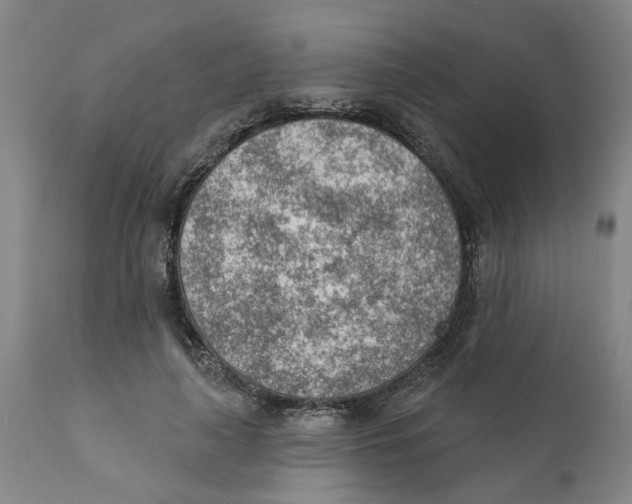 X0000111940643200908241141