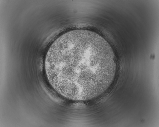 X0000111940644200908241141