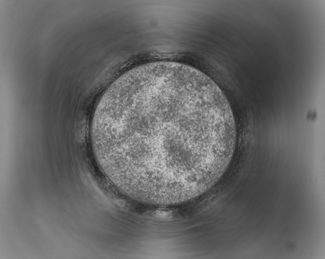 X0000111940647200908241141