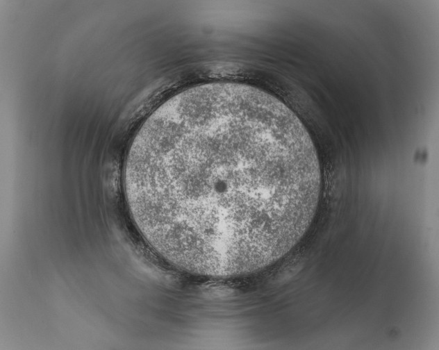 X0000111940648200908241141