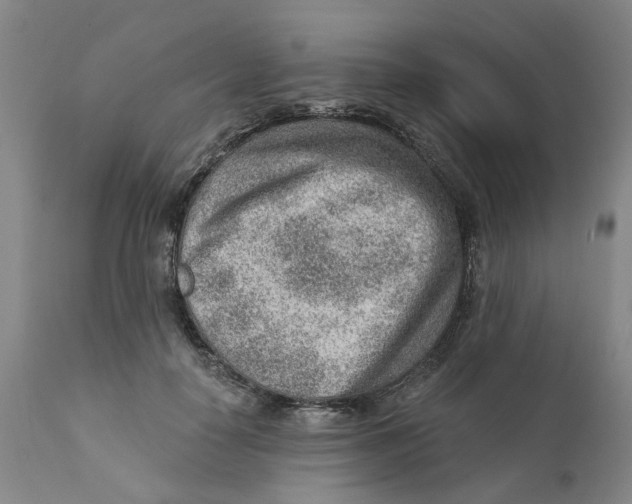 X0000111940650200908241141