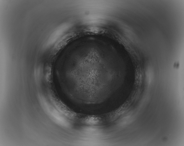 X0000111940656200908241141